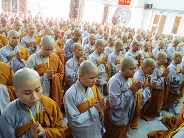 Giới trường Kim Sơn - niềm vui trải nghiệm ảnh 3 NDanh03.jpg