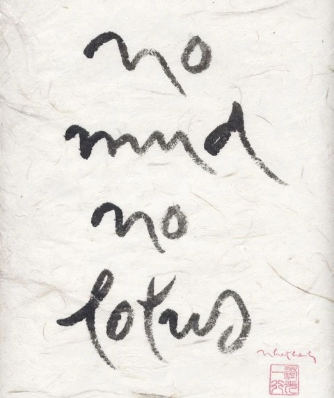 no mud no lotus.jpg