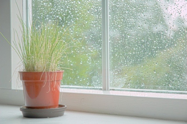rain.jpg