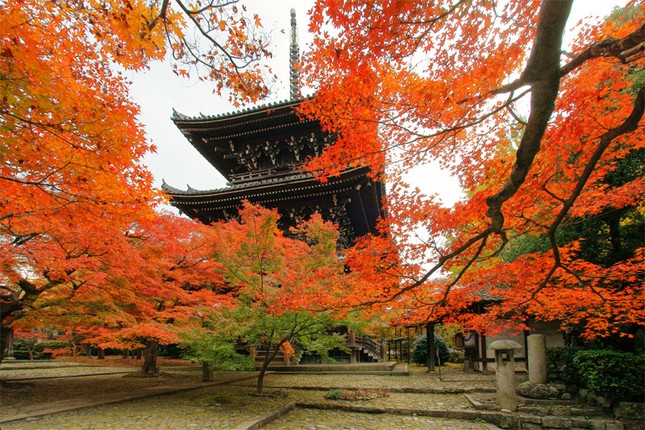 Hương Sơn mùa lá đỏ... ảnh 1 kyoto01.jpg