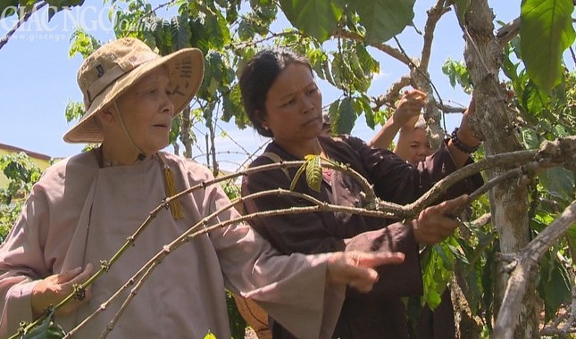 Đạo tràng giữa chốn núi rừng ảnh 2 bpp.jpg