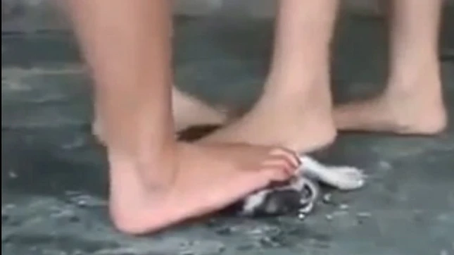 Bạn trẻ bức xúc trước cái ác ảnh 1 Anh 3, Giam dap cho den chet.jpg