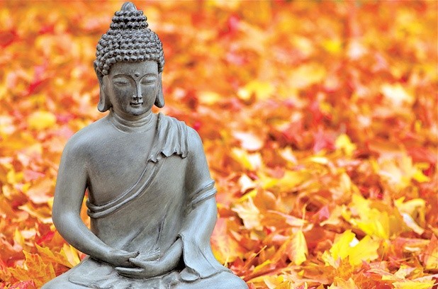 zen.jpg