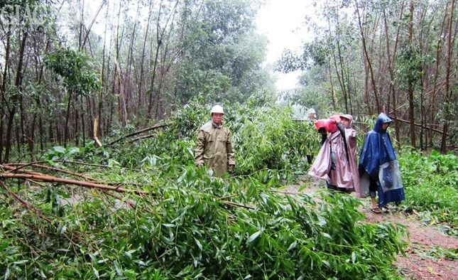 hue bao nari (11).JPG