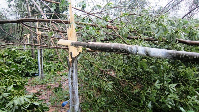 hue bao nari (5).JPG