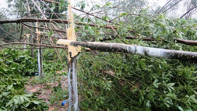 hue bao nari (5).JPG