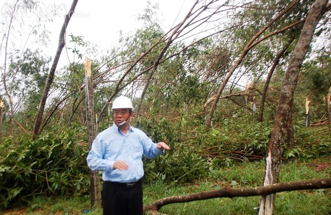 hue bao nari (6).JPG