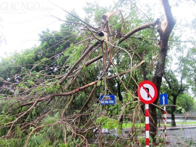 hue bao nari (9).JPG