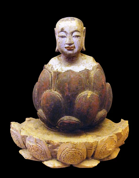 Vì sao tôi niệm Phật? ảnh 1 phat hoc10.jpg