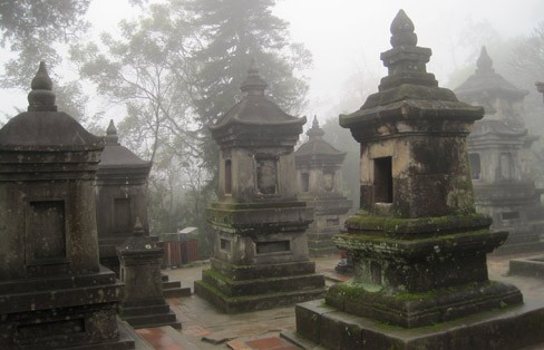 Vuon thap Hue Quang.jpg