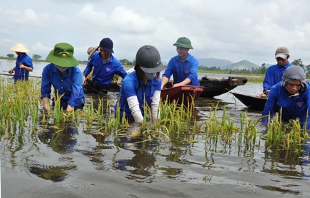canh dong mua lu.jpg
