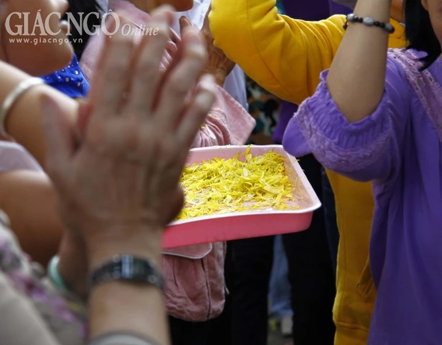 Lễ Kathina tại thiền viện Nguyên Thủy ảnh 14 _MG_5613.JPG