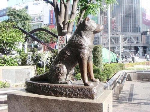 Hachiko.jpg