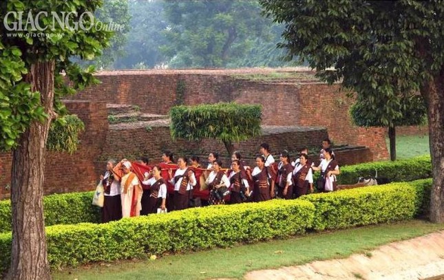 hinh cua GIANG PHONG (12).jpg