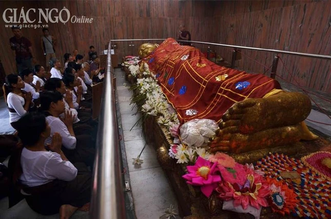 hinh cua GIANG PHONG (4).jpg