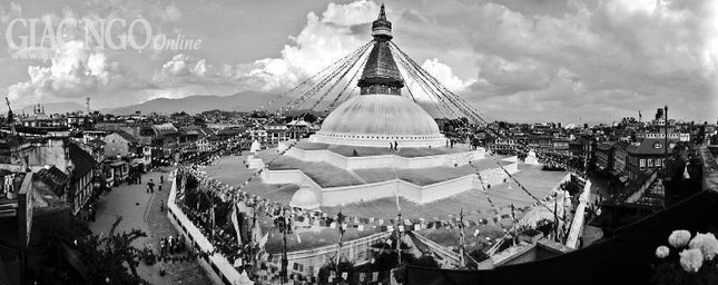 hinh cua GIANG PHONG (8).jpg