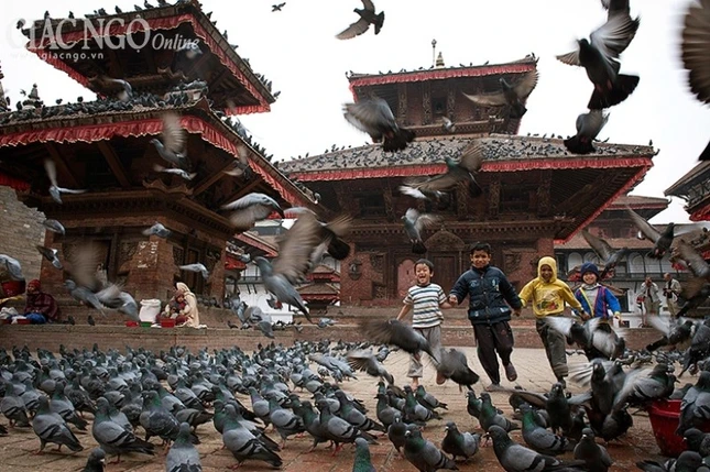 hinh cua NGUYEN VAN THUONG (7).jpg