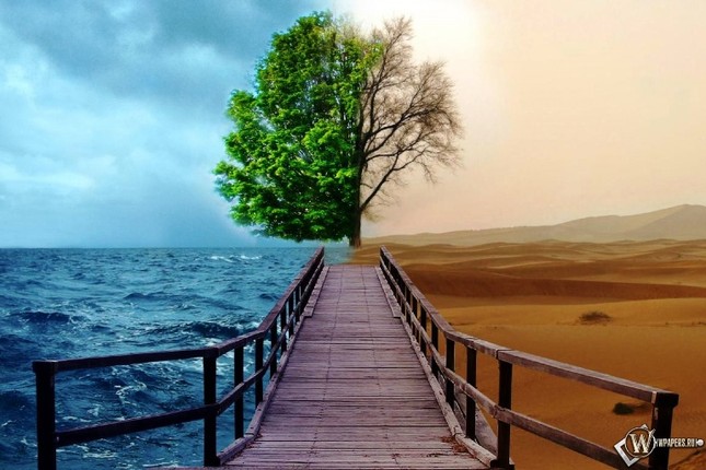 Hai mặt của cuộc sống ảnh 1 phat hoc2.jpg