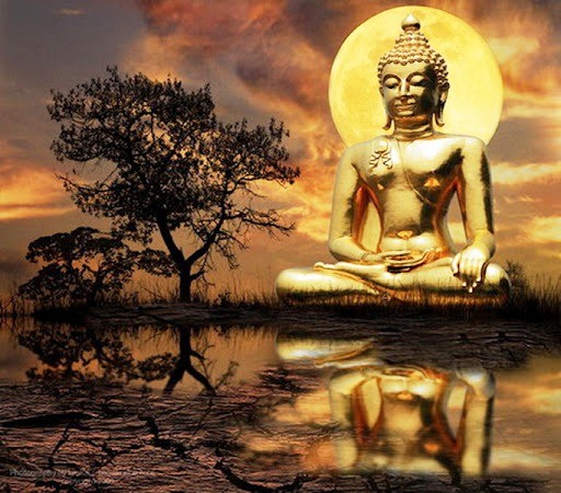 Mười điều thường quán sát ảnh 1 thai hoa.jpg