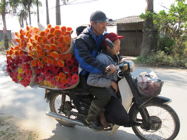 Những xe hoa tươi đầy ắp chuẩn bị được đưa ra chợ để phục vụ cho nhu cầu của người dân nội thành - Ảnh: Phạm Nhâm