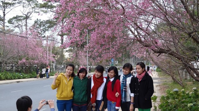nguyen han 9.jpg