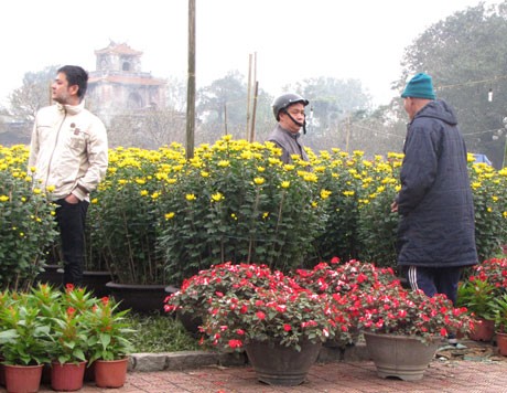 Đất Thần kinh đón Tết về... ảnh 2 tethue2.jpg