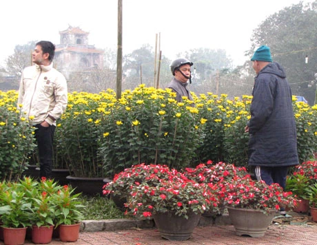 Đất Thần kinh đón Tết về... ảnh 2 tethue2.jpg