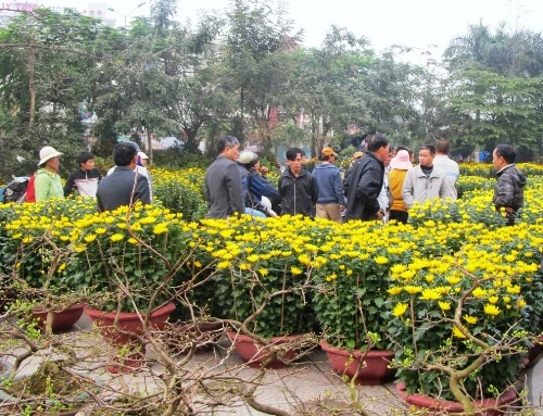 Đất Thần kinh đón Tết về... ảnh 6 tethue7.JPG