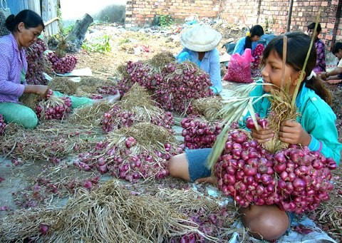 Nghe mùi Tết tỏa ra từ bàn phím ảnh 2 xuan.2.jpg