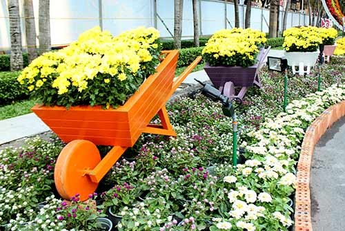 Ngắm đường hoa Nguyễn Huệ trước giờ khai mạc ảnh 15 - 15