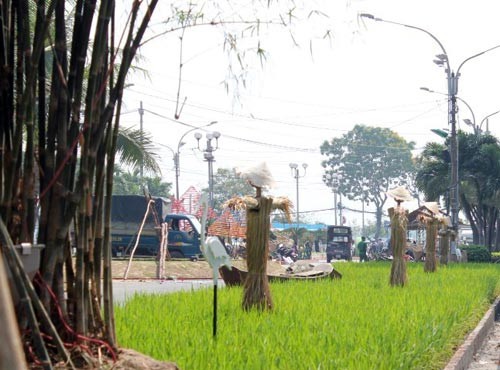 Ngắm đường hoa Nguyễn Huệ trước giờ khai mạc ảnh 26 - 27