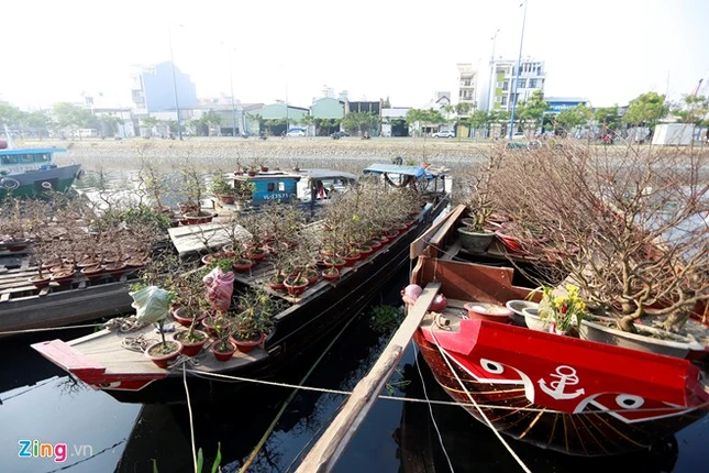 Khu vực này là nơi giao lưu, hội tụ của các nhà vườn, thương nhân từ nhiều tỉnh, thành miền Tây với nhiều chủng loại hoa, cây kiểng đặc sắc, phong phú.