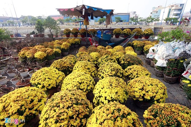 Khắp tuyến sông phương tiện hối hả chở đầy hoa, cây cảnh về thành phố để chuẩn bị cho mùa xuân mới.