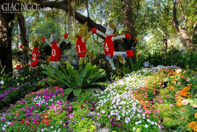 TP.HCM: Ngắm hội hoa xuân Giáp Ngọ 2014 ảnh 8 BTN_0018.JPG