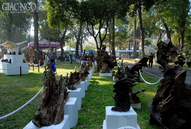 TP.HCM: Ngắm hội hoa xuân Giáp Ngọ 2014 ảnh 19 BTN_0053.JPG