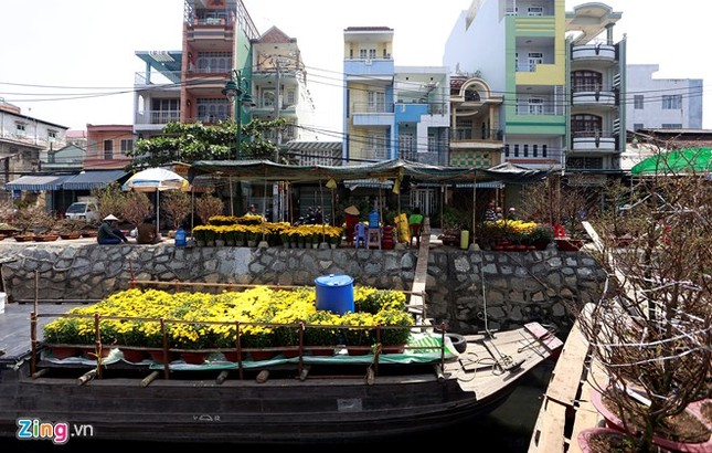 Tuy nhiên, do thời tiết nắng nóng kéo dài, nên các nhà thuyền không dám trưng hết hoa ra ngoài sợ bị hoa bị héo và bung nở.