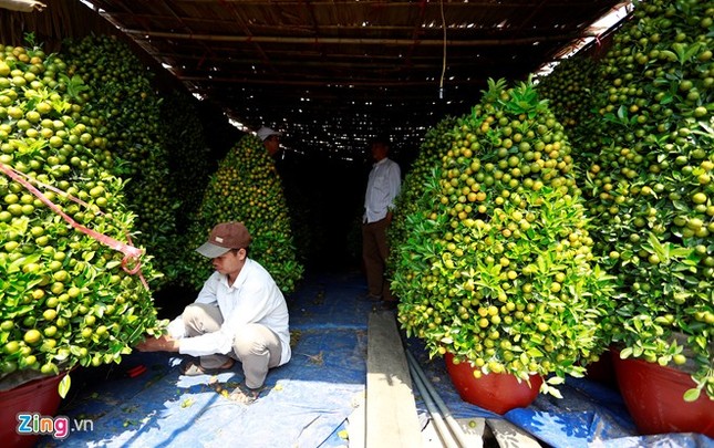 Những chiếc thuyền chở xuân về với mọi người.