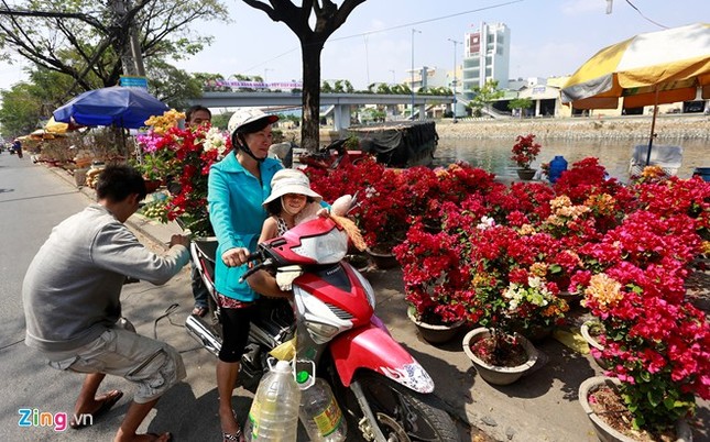 Nhiều người chọn được những cây cảnh ưng ý về nhà.