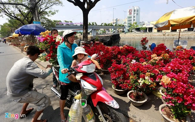Nhiều người chọn được những cây cảnh ưng ý về nhà.