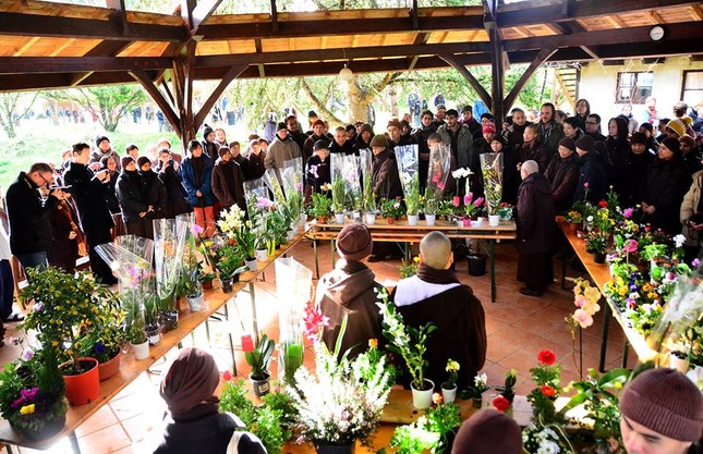 Đạo tràng Mai Thôn đón Tết ảnh 9 11.jpg