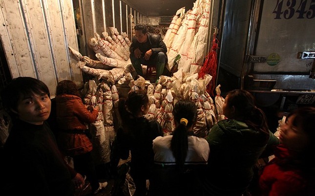 Mỗi đêm giáp Tết có hàng chục chiếc xe chở hoa như này và tiêu thụ một cách nhanh chóng trước khi mặt trời lên.