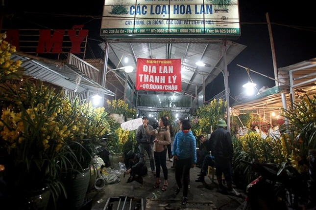 Gian hàng hoa tiền triệu vắng khách hơn các hàng hoa thông thường.