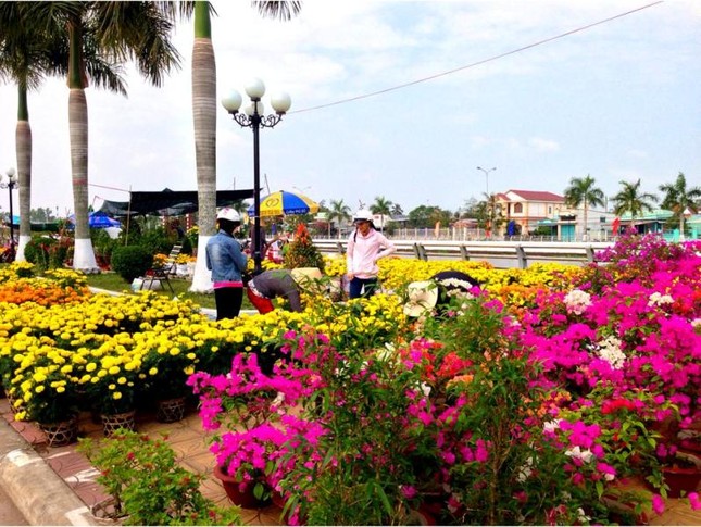 anh hoa.jpg