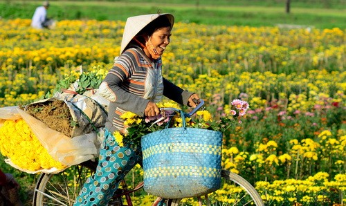anh minh hoa.jpg