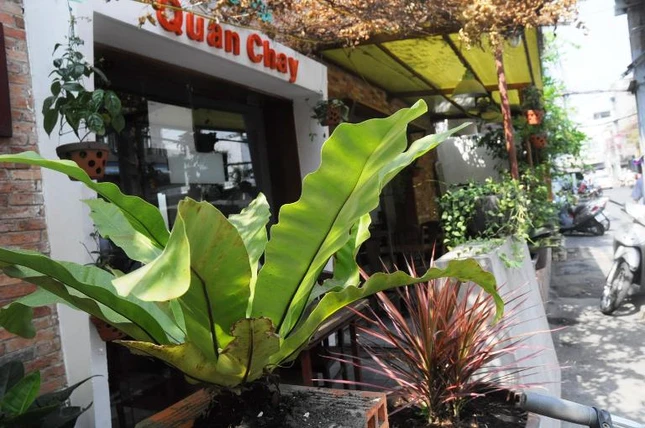 10. Không gian xanh.JPG