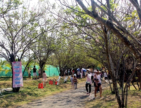 4-1-Anh-4-Vuon-do-mai-9152-1391482837.jp