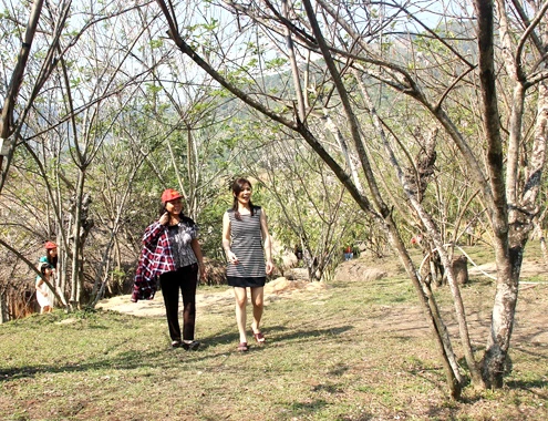 4-1-Anh-5-Vuon-do-mai-2780-1391482837.jp