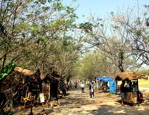 4-1-Anh-6-Vuon-do-mai-1172-1391482837.jp