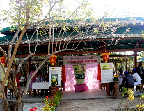 Du khách còn được thưởng thức trà miễn phí và ngắm Ly trà thảo dược cao hơn 1m, có dung tích chứa 113 lít (tương đương 1.130 ly trà). 4-1-Anh-8-Vuon-do-mai-6791-1391482837.jp
