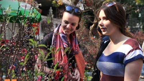 Nhớ chợ hoa Hàng Lược ảnh 1 anh minh hoa.jpg